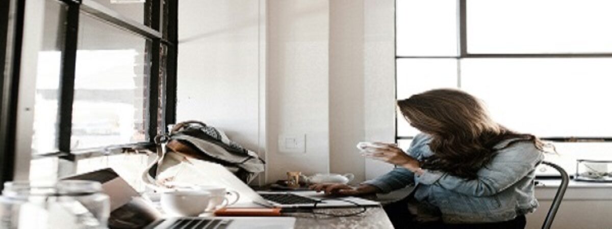 resume and selection criteria